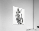 ArtX 35 Horse  Acrylic Print