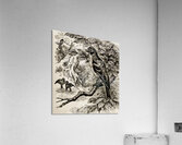 ArtX 530 birds forest  Acrylic Print