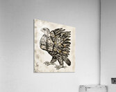 ArtX 529 eagle  Acrylic Print
