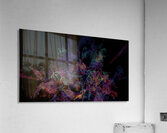 Collide And Seek Acrylic Print