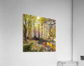 Gapstow bridge in autumn Central Park New York city Acrylic Print