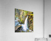 Drift Creek Falls_Holt_RezN888  Acrylic Print