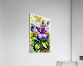 Four o clock flowers14k4 Acrylic Print