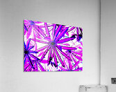  Abstract Pink and Purple Lupin Leaves                                                                                                                     Acrylic Print
