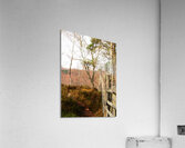 The Divide in the Scottish Highlands                                                                                                                      Acrylic Print