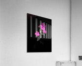Portrait of Plants- Colour Out of Darkness Acrylic Print