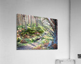 Scenes from the Trail- The Fairies Path                                                                                                                      Acrylic Print