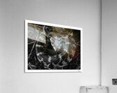 Ready to Strike  Acrylic Print