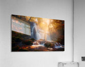 Golden rays  Acrylic Print