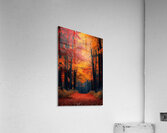Awakening and life  Acrylic Print