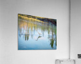 FOREST POND REFELECTIONS  Holt RezN888  Acrylic Print