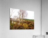  Spring Nature Landscape in the Scottish Highlands                                                                                                                     Acrylic Print