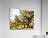   Springs Nature Delight in the Scottish Highlands                                                                                                                    Acrylic Print