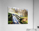  The Bridge in the Scottish Highlands                                                                                                                     Acrylic Print