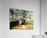  Scottish Highlands in the Spring                                                                                                                     Acrylic Print