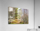 Springs Path Through the Scottish Highlands                                                                                                                      Acrylic Print