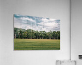 Cypress Bend Skyline Acrylic Print