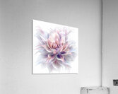 Colors and calmness  Acrylic Print