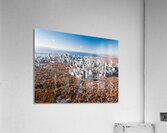 Toronto Skyline Autumn Acrylic Print