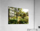 Scottish Highlands Summer Walk Acrylic Print