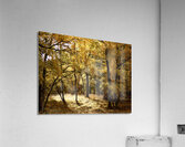 Autumns Kiss for the Scottish Highlands Acrylic Print