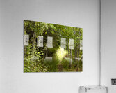 Scottish Highlands Summer Trail Acrylic Print