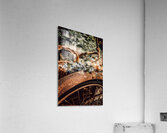 Rusted Grace Acrylic Print