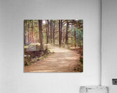 Scenes from the Trail-Summer Path Acrylic Print