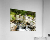 Summer River in the Scottish Highlands Acrylic Print