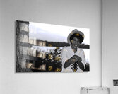 DSC 3874 Acrylic Print