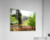Scenes from the Trail- Morning in the Scottish Highlands                                                                                                                      Acrylic Print