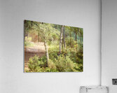 Scottish Highlands Spring Woodland Path Acrylic Print