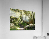 Summer Birch Path in the Scottish Highlands  Acrylic Print