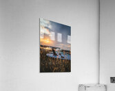 Island Life  Acrylic Print