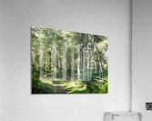 Natures Peaceful Walk Through The Scottish Highlands Acrylic Print