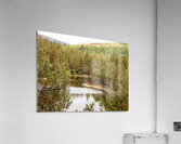 Scottish Highlands Lochan View Acrylic Print