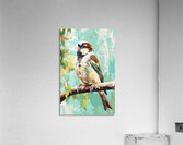 A vintage style drawing of a small sparrow sitting on a branch Acrylic Print