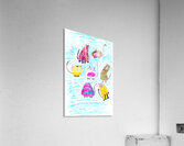 Abstract Coloured Doodle Cats Acrylic Print