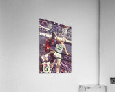 1986 Jordan Reverse Against Bird Acrylic Print
