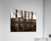 Scottish Highlands Winter Sunlight Acrylic Print