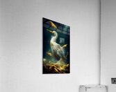 Shine    Acrylic Print
