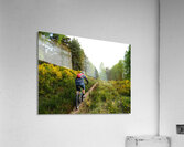 Scottish Highlands Spring Trail Cycling                                                                                                                     Acrylic Print