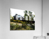  Strathspey Steam Railway on the Go                                                                                                                     Acrylic Print