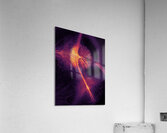 Glide Through Acrylic Print