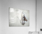 Isheena Acrylic Print