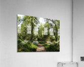 Mays Forest Trail In The Scottish Highlands                                                                                                           Acrylic Print