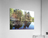  Lily Lochan In The Scottish Highlands                                                                                                                     Acrylic Print