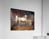 Old Barn Collection Beijing Acrylic Print