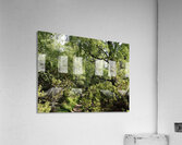 Springs Forest Walk in the Scottish Highlands                                                                                                                      Acrylic Print