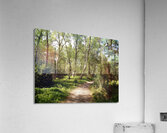 Scottish Highlands Springs Trail                                                                                         Acrylic Print
